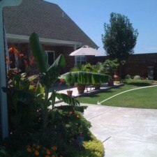 Maybe you would like to get power, phone, water, or sewer
across your yard or driveway, across a road, down a hill….painlessly…